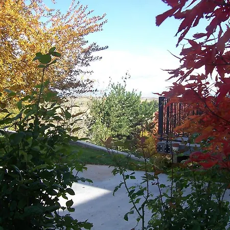 Wild Rose Manor Bed & Breakfast-3